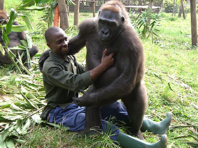 Kamerun, Limbe Wildlife Center (abgeschlossen)